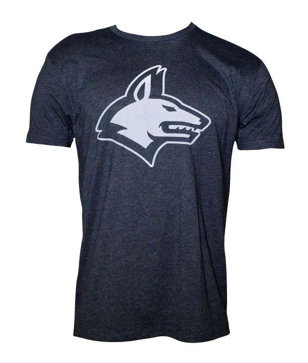 Logo T-Shirt (Grey)